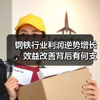 钢铁行业利润逆势增长,效益改善背后有何支撑?(图3) 钢铁行业利润逆势增长,效益改善背后有何支撑?(图3)