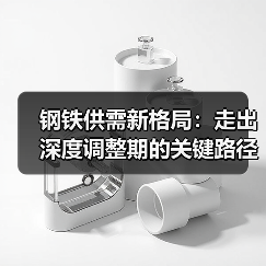 钢铁供需新格局:走出深度调整期的关键路径(图1) 钢铁供需新格局:走出深度调整期的关键路径(图1)