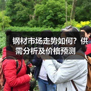 钢材市场走势如何?供需分析及价格预测(图3) 钢材市场走势如何?供需分析及价格预测(图3)