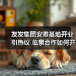 友发集团安徽基地开业引热议 临泉合作如何开启行业新机遇?(图1) 友发集团安徽基地开业引热议 临泉合作如何开启行业新机遇?(图1)