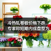 冷热轧卷板价格下跌,专家称短期内或盘整为主(图2) 冷热轧卷板价格下跌,专家称短期内或盘整为主(图2)