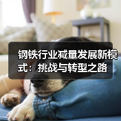 钢铁行业减量发展新模式：挑战与转型之路