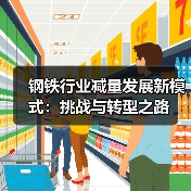 钢铁行业减量发展新模式：挑战与转型之路（图4）