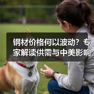 钢材价格何以波动？专家解读供需与中美影响（图2）