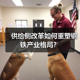 供给侧改革如何重塑钢铁产业格局？（图2）