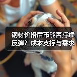 钢材价格后市能否持续反弹？成本支撑与需求变化如何推动？（图4）