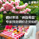 钢材市场“供强需弱” 专家预测钢价走势如何？