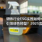 钢铁行业ESG实践如何引领绿色转型？2025蓝皮书解析（图2）
