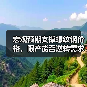 宏观预期支撑螺纹钢价格，限产能否逆转需求疲软？