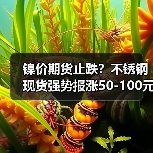 镍价期货止跌？不锈钢现货强势报涨50-100元！（图4）