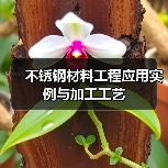 不锈钢材料工程应用实例与加工工艺