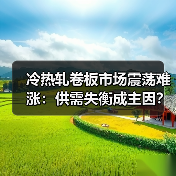 冷热轧卷板市场震荡难涨：供需失衡成主因？（图2）