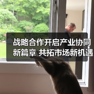 战略合作开启产业协同新篇章 共拓市场新机遇（图2）