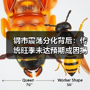 钢市震荡分化背后：传统旺季未达预期成因揭秘（图4）