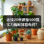 连续20年跻身500强，实力揭秘背后有何？