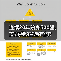 连续20年跻身500强，实力揭秘背后有何？（图4）