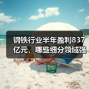 钢铁行业半年盈利837亿元,哪些细分领域强势逆袭?(图3) 钢铁行业半年盈利837亿元,哪些细分领域强势逆袭?(图3)