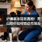 沪镍暴涨背后真相!青山限价如何撬动市场反转?(图3) 沪镍暴涨背后真相!青山限价如何撬动市场反转?(图3)