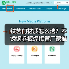 铁艺门材质怎么选?不锈钢卷板焊接管厂家推荐(图4) 铁艺门材质怎么选?不锈钢卷板焊接管厂家推荐(图4)