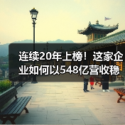 连续20年上榜！这家企业如何以548亿营收稳居中国500强？（图4）