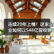连续20年上榜！这家企业如何以548亿营收稳居中国500强？（图3）