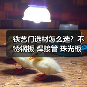 铁艺门选材怎么选?不锈钢板 焊接管 珠光板现货对比(图3) 铁艺门选材怎么选?不锈钢板 焊接管 珠光板现货对比(图3)