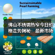 佛山不锈钢热窄今日价格走势揭秘：最新市场行情一览