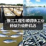 雅江工程引领钢铁工业转型升级新机遇(图2) 雅江工程引领钢铁工业转型升级新机遇(图2)