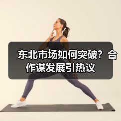 东北市场如何突破？合作谋发展引热议（图2）