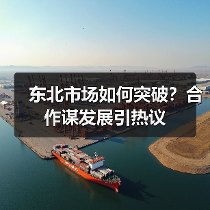 东北市场如何突破？合作谋发展引热议（图3）