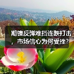 期镍反弹难挡连跌打击,市场信心为何受挫?(图2) 期镍反弹难挡连跌打击,市场信心为何受挫?(图2)