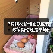 7月钢材价格止跌回升:政策驱动还是市场回暖?(图3) 7月钢材价格止跌回升:政策驱动还是市场回暖?(图3)
