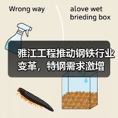 雅江工程推动钢铁行业变革，特钢需求激增