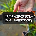 雅江工程推动钢铁行业变革，特钢需求激增（图2）