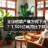 全球粗钢产量为何下滑?1.501亿吨同比下降1.3%(图2) 全球粗钢产量为何下滑?1.501亿吨同比下降1.3%(图2)