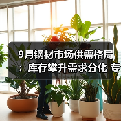 9月钢材市场供需格局:库存攀升需求分化 专家预测震荡运行(图4) 9月钢材市场供需格局:库存攀升需求分化 专家预测震荡运行(图4)