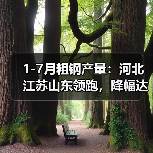 1-7月粗钢产量:河北江苏山东领跑,降幅达3.1%(图2) 1-7月粗钢产量:河北江苏山东领跑,降幅达3.1%(图2)