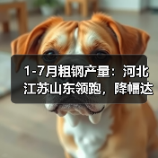 1-7月粗钢产量:河北江苏山东领跑,降幅达3.1%(图4) 1-7月粗钢产量:河北江苏山东领跑,降幅达3.1%(图4)