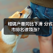 粗钢产量同比下滑 分省市排名谁领涨?(图4) 粗钢产量同比下滑 分省市排名谁领涨?(图4)