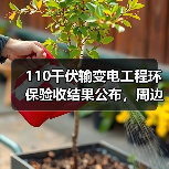 110千伏输变电工程环保验收结果公布,周边影响评估如何?(图2) 110千伏输变电工程环保验收结果公布,周边影响评估如何?(图2)