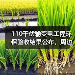 110千伏输变电工程环保验收结果公布,周边影响评估如何?(图4) 110千伏输变电工程环保验收结果公布,周边影响评估如何?(图4)
