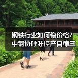 钢铁行业如何稳价格?中钢协呼吁控产自律三定三不要(图4) 钢铁行业如何稳价格?中钢协呼吁控产自律三定三不要(图4)
