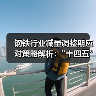 钢铁行业减量调整期应对策略解析: 钢铁行业减量调整期应对策略解析: