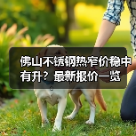 佛山不锈钢热窄价稳中有升？最新报价一览