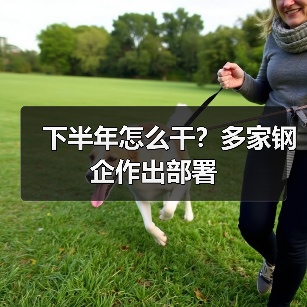 下半年怎么干？多家钢企作出部署（图2）