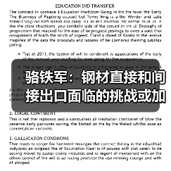 骆铁军：钢材直接和间接出口面临的挑战或加剧（图2）