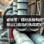骆铁军：钢材直接和间接出口面临的挑战或加剧（图4）