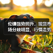 伦镍强势回升，现货市场分歧明显，行情走势如何？