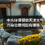 中央环保督察天津大气污染治理问题有哪些？（图2）