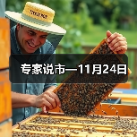 专家说市—11月24日(图3) 专家说市—11月24日(图3)